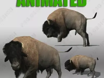 Buffalo bison - bison Low-poly 3D model