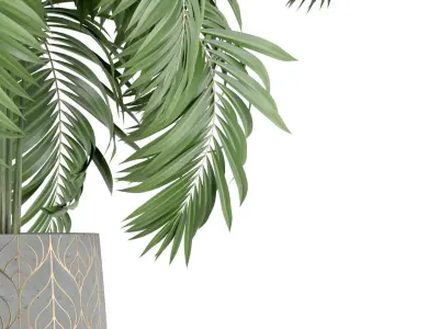 Plants collection 219 3D model