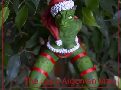 The Argonian Maid 3D print model