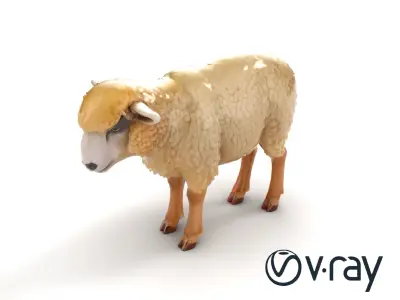 Fluffy Sheep Grazing Stance model pack Low-poly 3D model