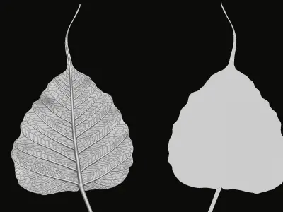 Bodhi leaf Relief 3D print model