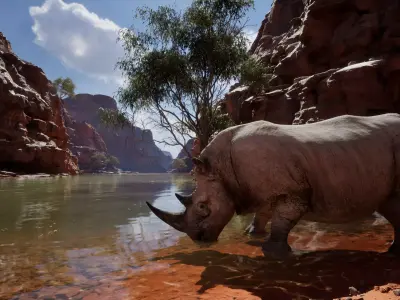 African Rhinoceros Low-poly 3D model