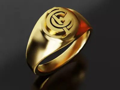 Carlton Australia Football Fans 3D print model 3D print model