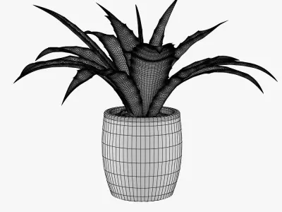 Flower in pot 3D model