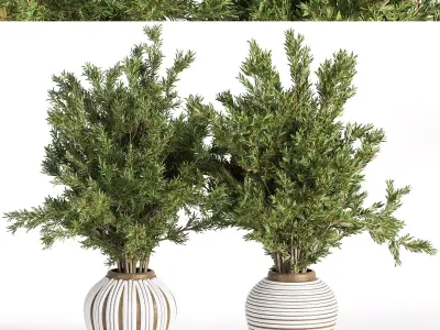 Indoor Plant Set 19 3D model