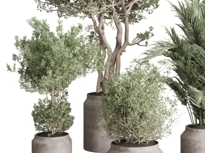indoor plant set 401 tree palm bush in a concrete vases Low-poly 3D model