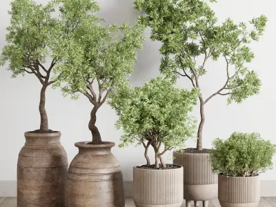  indoor outdoor plant 141 vase concrete wood old pot tree 3D model