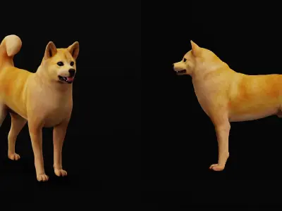 Finnish Spitz Dog Low-poly 3D model