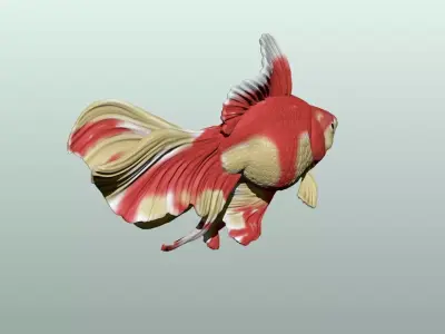 Goldfish Pose 1 3D print model