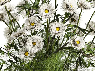 Bouquet 3D model 3