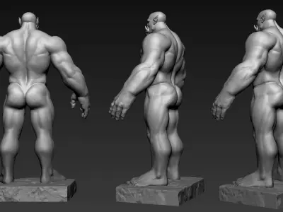 Orc Anatomy 3D print model