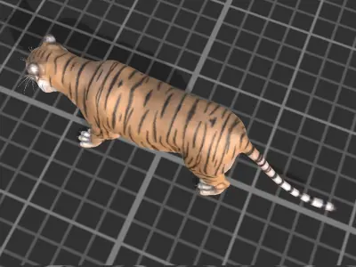 Tiger Low-poly 3D model 6