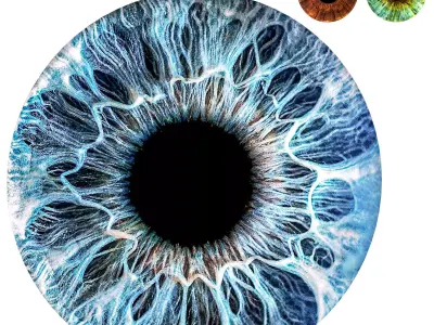 Wall Decor Eye 3D model