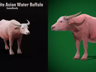 Albino Asian Water Buffalo  3D model