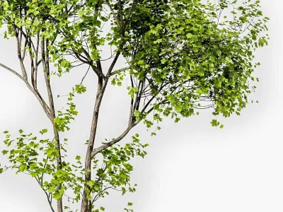 landscape Tree Modern 3D model