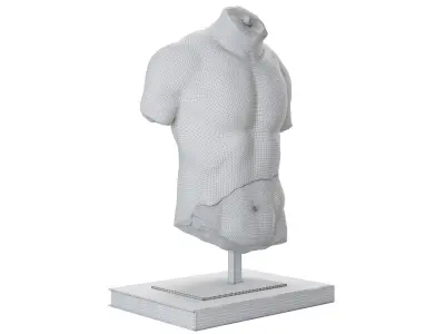 Discophoros Bust and Books Set 1 3D model