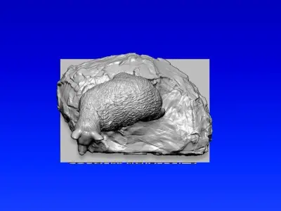 NCAA - Cornell Big Red mascot statue - Cornell University  3D print model