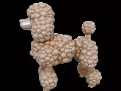 Cauliflower Textured Poodle 3D print model