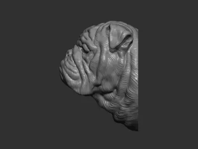 English bulldog bust 3D print model