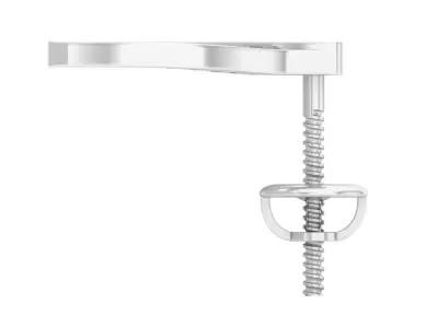 AV 303 White Diamond Ladies Horse Shoe Earrings 3D print model