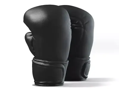 Boxing Gloves 3D model