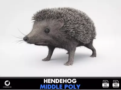 Hedgehog 3D model
