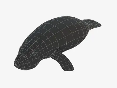 West Indian manatee Low-poly 3D model