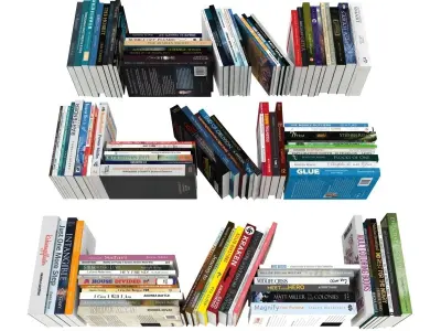 110 different books 1 3D model