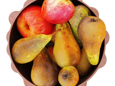 Conference Pears and Apples in a Round Decorative Vase 3D model