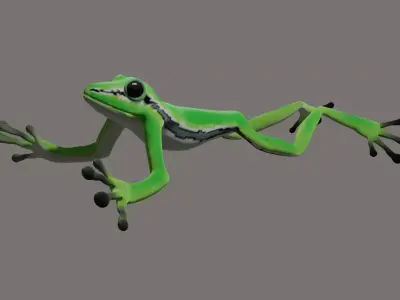 Poison Frog- Green tree frog 3D model