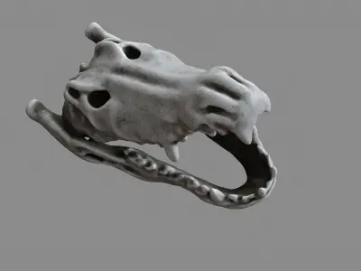 Crocodile Skull Decoration 3D model