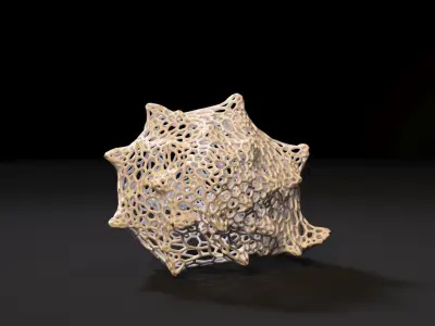 Sea shell 3D print model