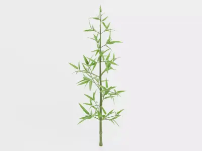 Bamboo Plant - Stem with Leaves Low-poly 3D model