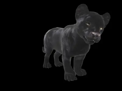 Baby Black Jaguar Cub Low-poly 3D model