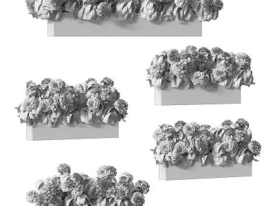 Hydrangea plant in a flowerpot for the facade - 5 models 3D model