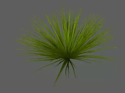 PLANTAS palm plant Free 3D model