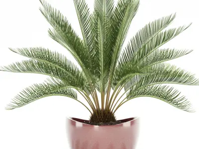 Plants collection 99 Awesomeplanters 3D model