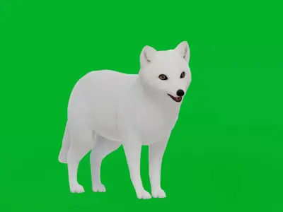 Arctic Fox Low-poly 3D model