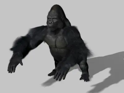 Gorilla 3D model