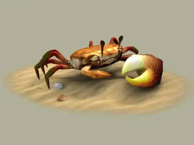 Fiddler crabs Hai River crabs hairy crabs shells oceans 3D model