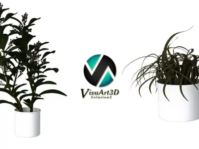 Houseplant Collection 5 air plant in pot 3D model