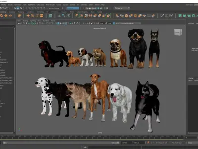 13 Dogs Pack 3D Model Collection Low-poly 3D model