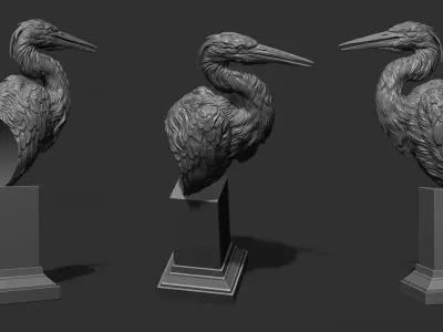 Grey Heron bust  3D print model