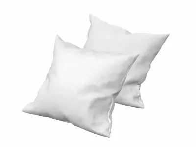 Solid Pillows - set of 2 3D model