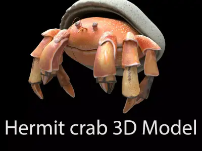 Hrrmit crab 3D Model 3D model