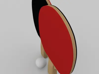 Ping Pong Paddle 3D model