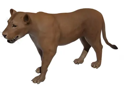 Lioness  Low-poly 3D model