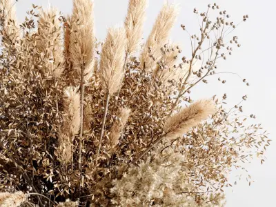 pampas dry flowers in a concrete vase bouquet 52 3D model