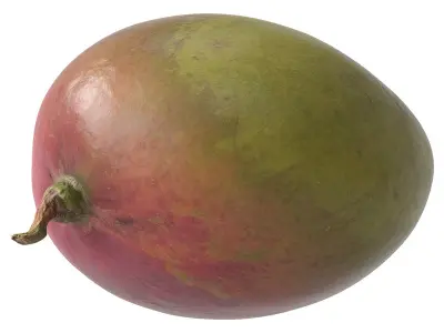 Mango 3D model