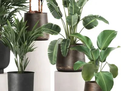 Houseplants in a rust flowerpot for the interior 981 3D model